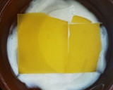 Foto del paso 3 de la receta: Lasaña improvisada