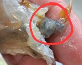 รูปขั้นตอนการทำที่ 2 ของ กุ้งอบเกลือ