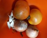 गोभी की मसालेदार सब्जी(gobhi ki masaledar sabji recipe in hindi) रेसिपी चरण 1 फोटो