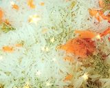 صورة لخطوة 2 من وصفة صيادية سمك 🐟