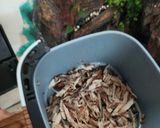 Foto langkah ke 1 dari resep Keumamah.