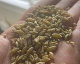 A picture of step 2 of Lebanese Chicken freekeh.