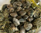 Foto del passaggio 1 della ricetta Spaghetti alle Vongole