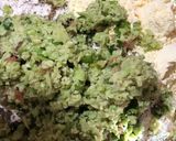 A picture of step 2 of Avocado paratha.