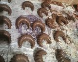 صورة لخطوة 7 من وصفة هليلات الصابلي برستيج