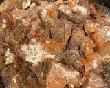 Peppered offalsmatakin girki2 hoto