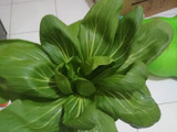 Pakcoy Telur (Tumis)