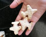 Foto del paso 11 de la receta: Alfajorcitos de avena