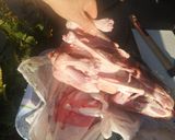 Foto del paso 2 de la receta: Choto en salsa