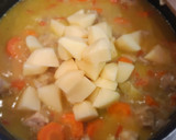 Foto del paso 4 de la receta: Magro de cerdo al curry con zanahorias
