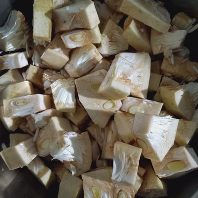 Langkah 1