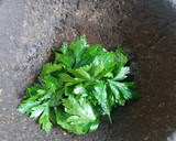 Foto del paso 9 de la receta: Chile guajillo relleno, con crema de pereil