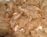 Foto langkah ke 4 dari resep Chicken and Veggie GYOZA.