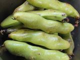 Grilled broad beans(Fava beans)