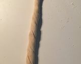 A picture of step 5 of Açma (soft rolled bread).