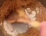 A picture of step 1 of Sewaiyon ki kheer.