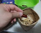 รูปขั้นตอนการทำที่ 2 ของ พริกทอดกรอบ รสหม่าล่า (麻辣香酥辣椒)