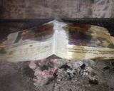 Foto del paso 3 de la receta: Bondiola a la parrilla