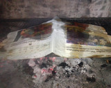 Foto del paso 3 de la receta: Bondiola a la parrilla