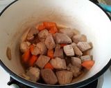 蘿蔔燉肉的食譜步驟4照片