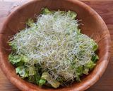 Foto del paso 1 de la receta: Ensalada verde con uvas y nueces
