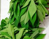 Foto langkah ke 1 dari resep Gulai Daun Singkong ala Tin.