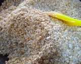 Foto del paso 1 de la receta: Barritas de avena y yogurt