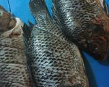 Foto del paso 1 de la receta: Mojarras al mojo de ajo