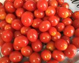 Une image de l'étape 4 de Tomates cerises à l'huile d'olive, ail, piments, thym et romarin.