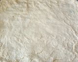 A picture of step 5 of Pepper bread.