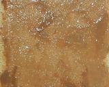 Foto del paso 10 de la receta: Brazo de gitano