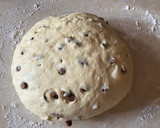 Foto del paso 6 de la receta: Bollitos de leche con pepitas de chocolate (doowap)