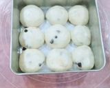 Gambar langkah 2 resipi Sourdough Chocolate Chip Buns.