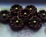 Foto langkah ke 6 dari resep Kue Talam Ubi Ungu.