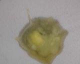 A picture of step 1 of Sooji coconut ladoo.