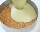 A picture of step 10 of Chocolate Avocado Mousse Cake [No-Bake].