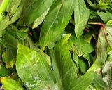 A picture of step 1 of Gongura leaves Sabji.