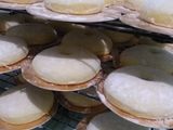 Donat All in One