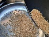 UAE Tahini Sauce