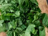 Spaghetti all’assassina 14 acciughe cime di rapa