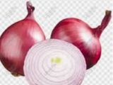محمرة للمناقيش حصرا