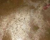 A picture of step 3 of Pudina rasam Madhu style.