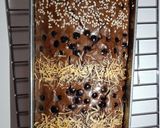 Foto langkah ke 8 dari resep Fudgy Brownies.
