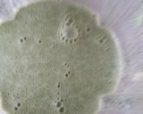 Foto del paso 1 de la receta: Crepas de espinacas