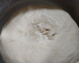 Foto langkah ke 6 dari resep Bakpao (No Mixer).