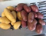 Une image de l'étape 1 de Purée aux deux pommes de terre et épices italiennes.