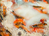 Kriuk Udang Tempe Sambal Ijo