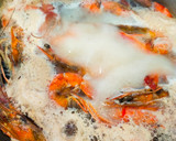 Foto langkah ke 1 dari resep Kriuk Udang Tempe Sambal Ijo.