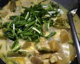 Foto langkah ke 5 dari resep Lodeh Terong Cecek.