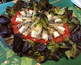 Une image de l'étape 10 de Salade de chêne rouge aux tomates, endives, sardines et feta.